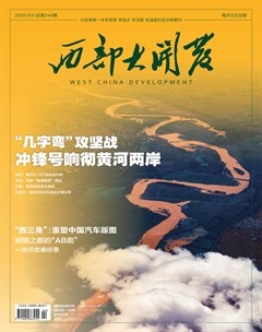 西部大开发