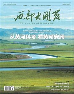 西部大开发