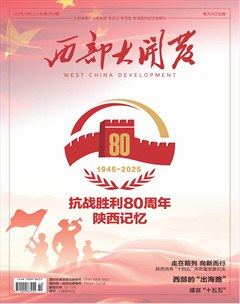 西部大开发