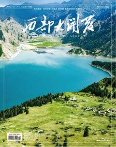 西部大开发
