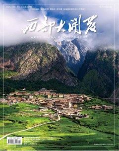 西部大开发