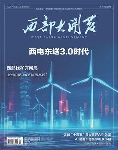 西部大开发