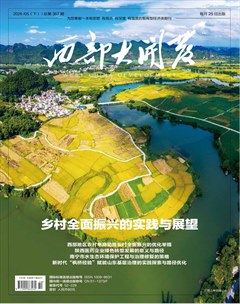 西部大开发