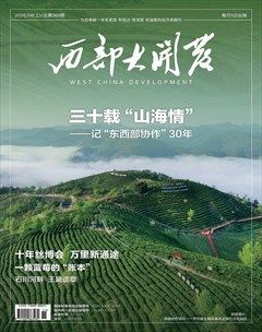 西部大开发