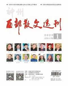 西部散文選刊