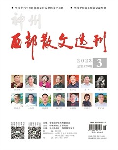 西部散文選刊