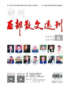 西部散文選刊