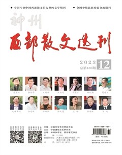 西部散文選刊