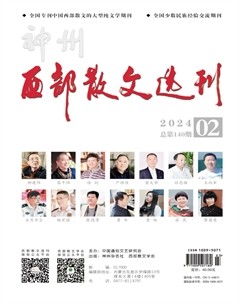 西部散文选刊