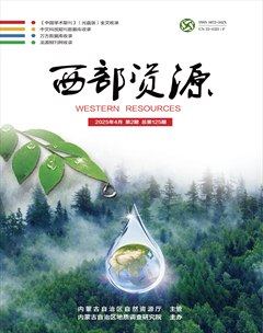 西部资源