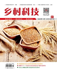 乡村科技
