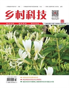 乡村科技