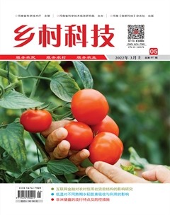 乡村科技