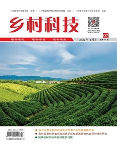 乡村科技
