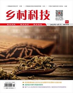 乡村科技
