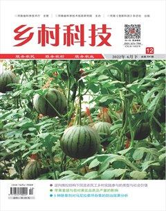 乡村科技
