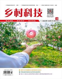 乡村科技