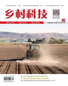 乡村科技