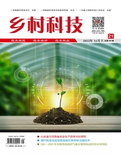 乡村科技