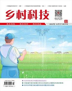 乡村科技