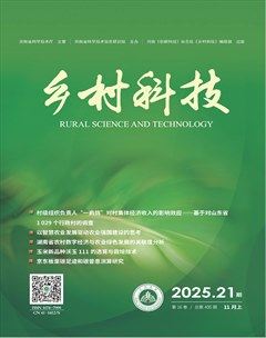 乡村科技