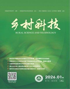 乡村科技