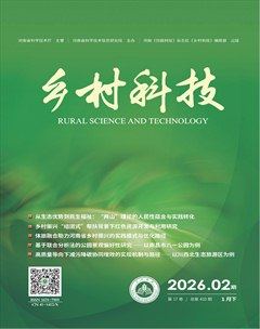 乡村科技