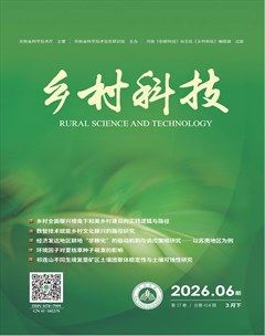 乡村科技