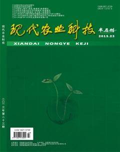 2013年第23期