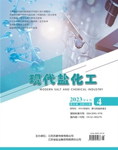 现代盐化工
