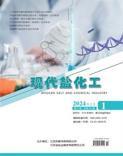 现代盐化工