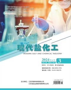 現(xiàn)代鹽化工