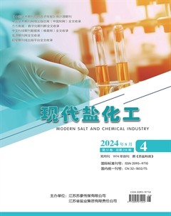 現(xiàn)代鹽化工