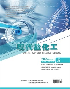 现代盐化工