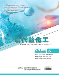 现代盐化工