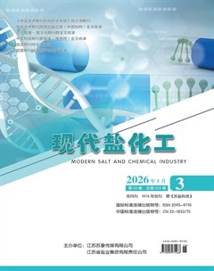 现代盐化工