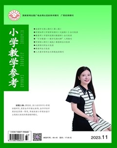 小学教学参考(综合)