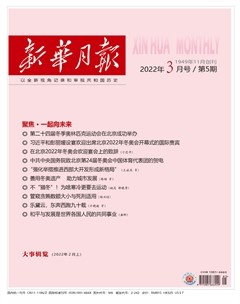 新华月报