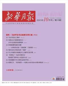 新华月报