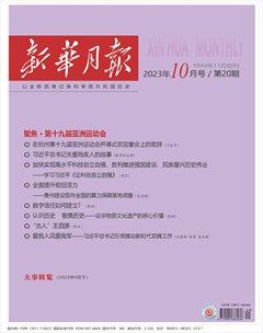 新华月报