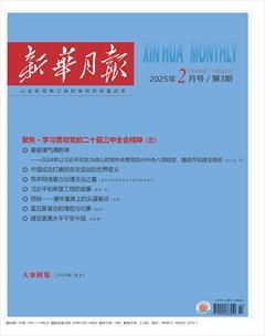 新华月报