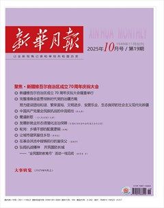 新华月报