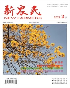 2022年第6期