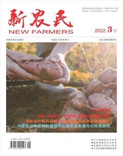 新农民