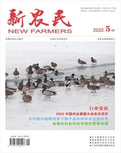 新农民