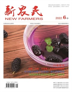新农民
