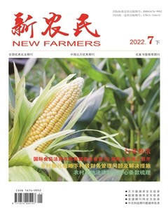 新农民