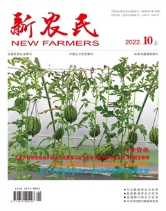 新农民
