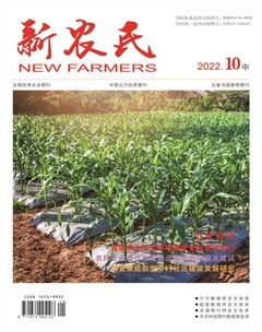 新农民