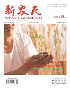 新农民